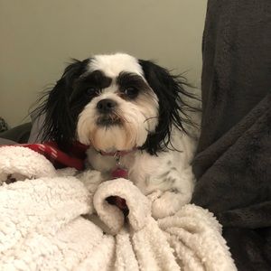 Meet your Posher, Katelyn